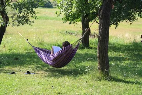 camping-lazy-cerovo-q1lz6