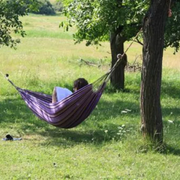 camping-lazy-cerovo-q1lz6