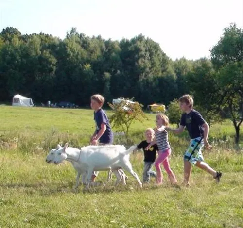 camping-lazy-cerovo-uffwp