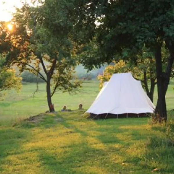 Camping Lazy