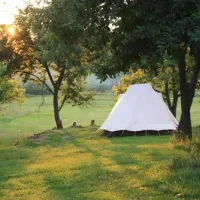 Camping Lazy
