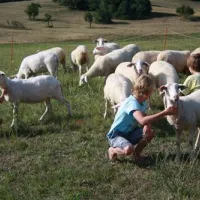 camping-lazy-cerovo-wr3wb