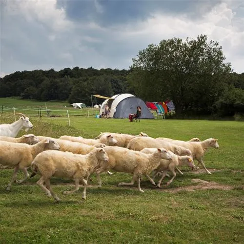 camping-lazy-cerovo-xvio2