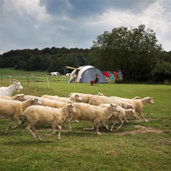 camping-lazy-cerovo-xvio2