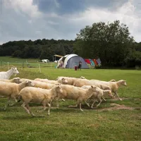 camping-lazy-cerovo-xvio2