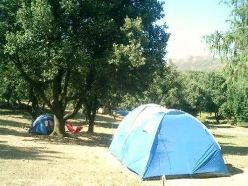camping-saint-pancrace-corte-1f1lk