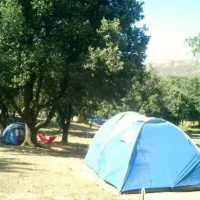 camping-saint-pancrace-corte-1f1lk
