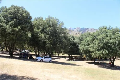 camping-saint-pancrace-corte-hmhdn