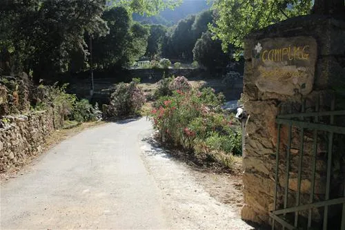 camping-saint-pancrace-corte-s993m