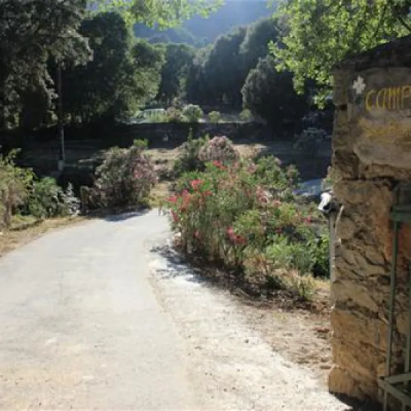 camping-saint-pancrace-corte-s993m
