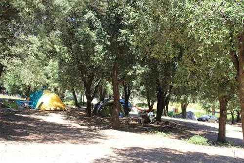 camping-saint-pancrace-corte-tocqe