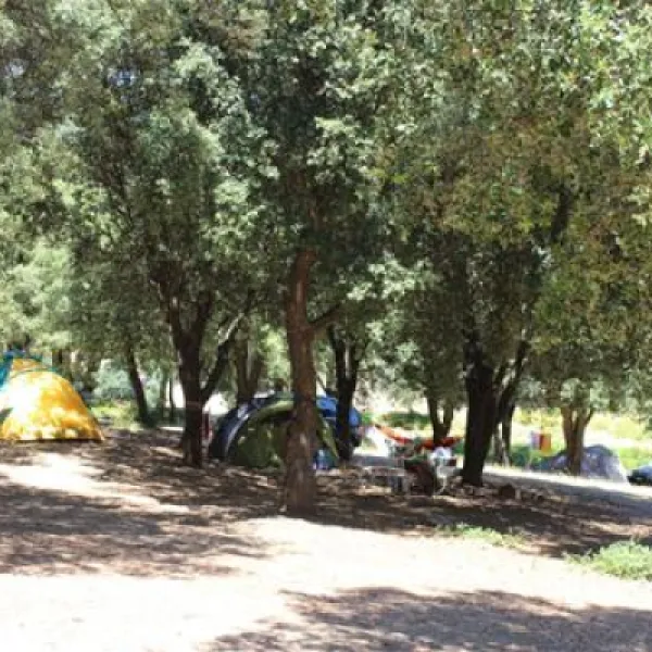 camping-saint-pancrace-corte-tocqe
