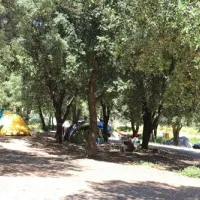 camping-saint-pancrace-corte-tocqe