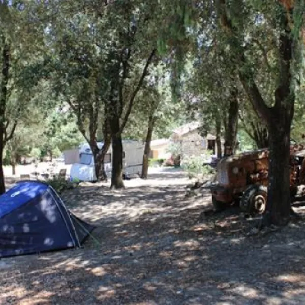 camping-saint-pancrace-corte-yudjw