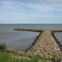 Ferrybank C.& C. Park