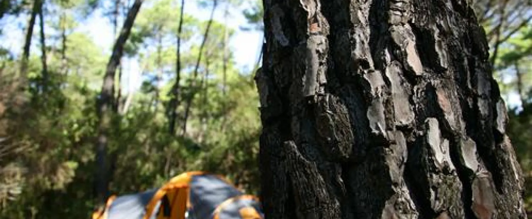 PuntAla Camping Resort