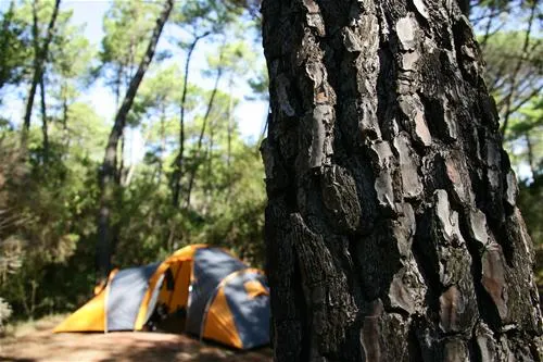 puntala-camping-resort-castiglione-della-pescaia-ktgxf