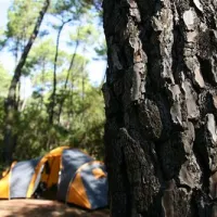 puntala-camping-resort-castiglione-della-pescaia-ktgxf