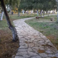 camping-altinkum-mocamp-egirdir-kfd0r