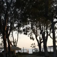 Camping Altinkum Mocamp