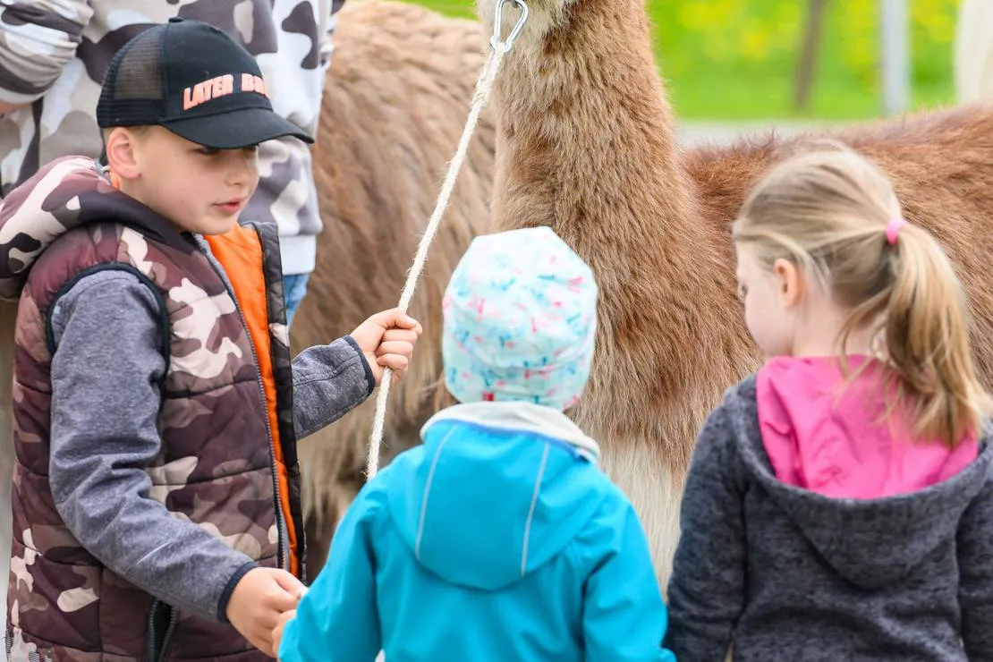 hochoben-alpin-camping-mallnitz-mallnitz-ji8hm