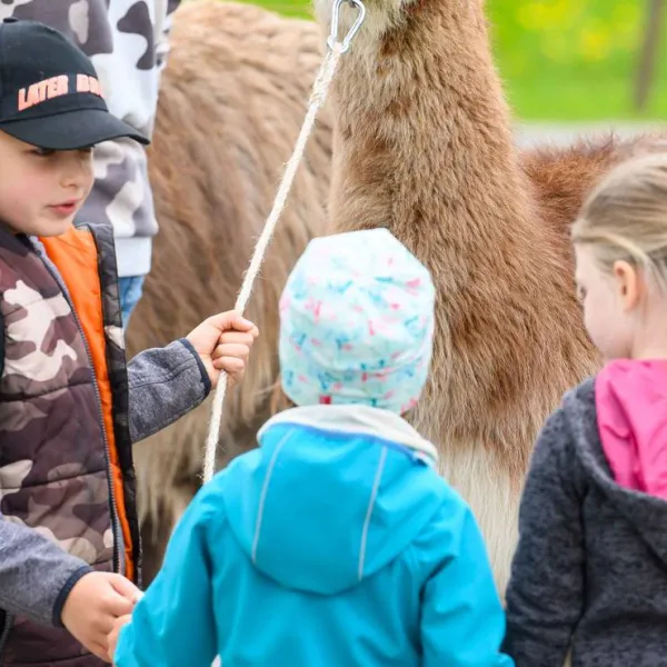 hochoben-alpin-camping-mallnitz-mallnitz-ji8hm