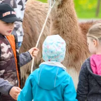 hochoben-alpin-camping-mallnitz-mallnitz-ji8hm