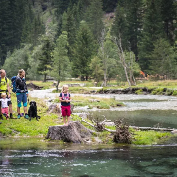 hochoben-alpin-camping-mallnitz-mallnitz-myjyj