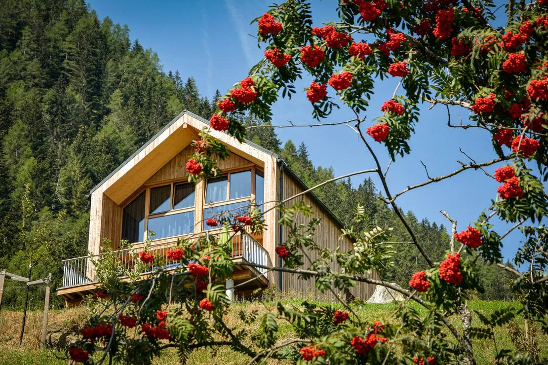 hochoben-alpin-camping-mallnitz-mallnitz-n3qqo