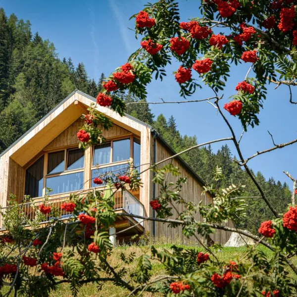 hochoben-alpin-camping-mallnitz-mallnitz-n3qqo