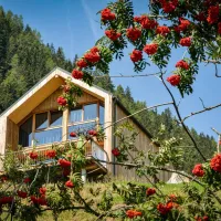 hochoben-alpin-camping-mallnitz-mallnitz-n3qqo