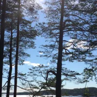 hove-camping-faervik-t4k6x