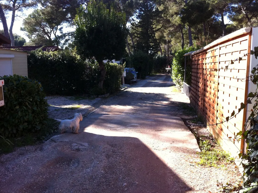 les-arbouses-le-castellet-bpbgt