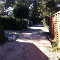 les-arbouses-le-castellet-bpbgt