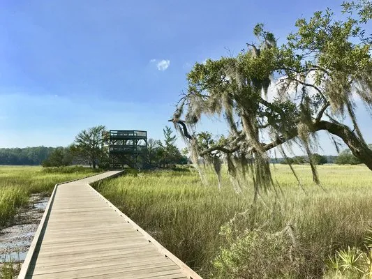 skidaway-island-state-park-savannah-d8dyq