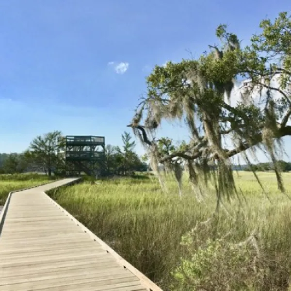 skidaway-island-state-park-savannah-d8dyq