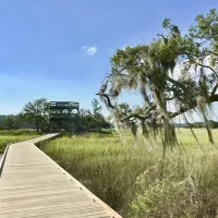 skidaway-island-state-park-savannah-d8dyq