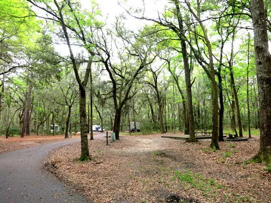 skidaway-island-state-park-savannah-g9cxu