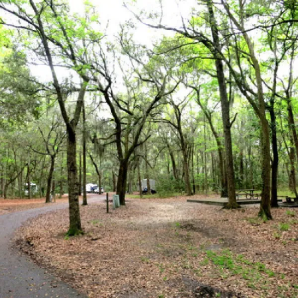 skidaway-island-state-park-savannah-g9cxu