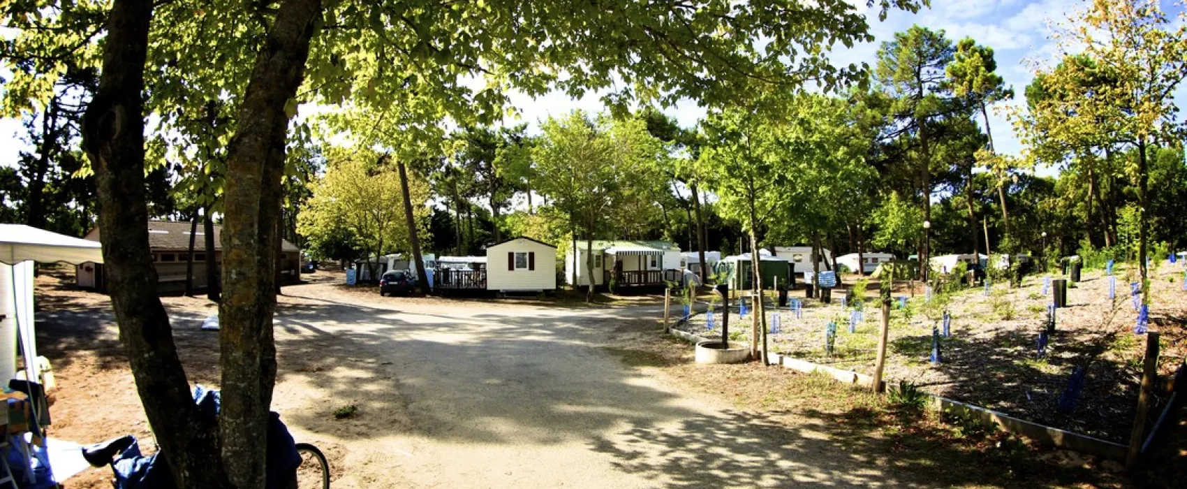 Le Grand Corseau
