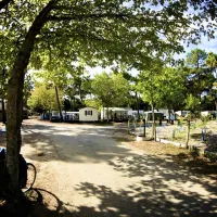 le-grand-corseau-la-barre-de-monts-vendee-kmsfk