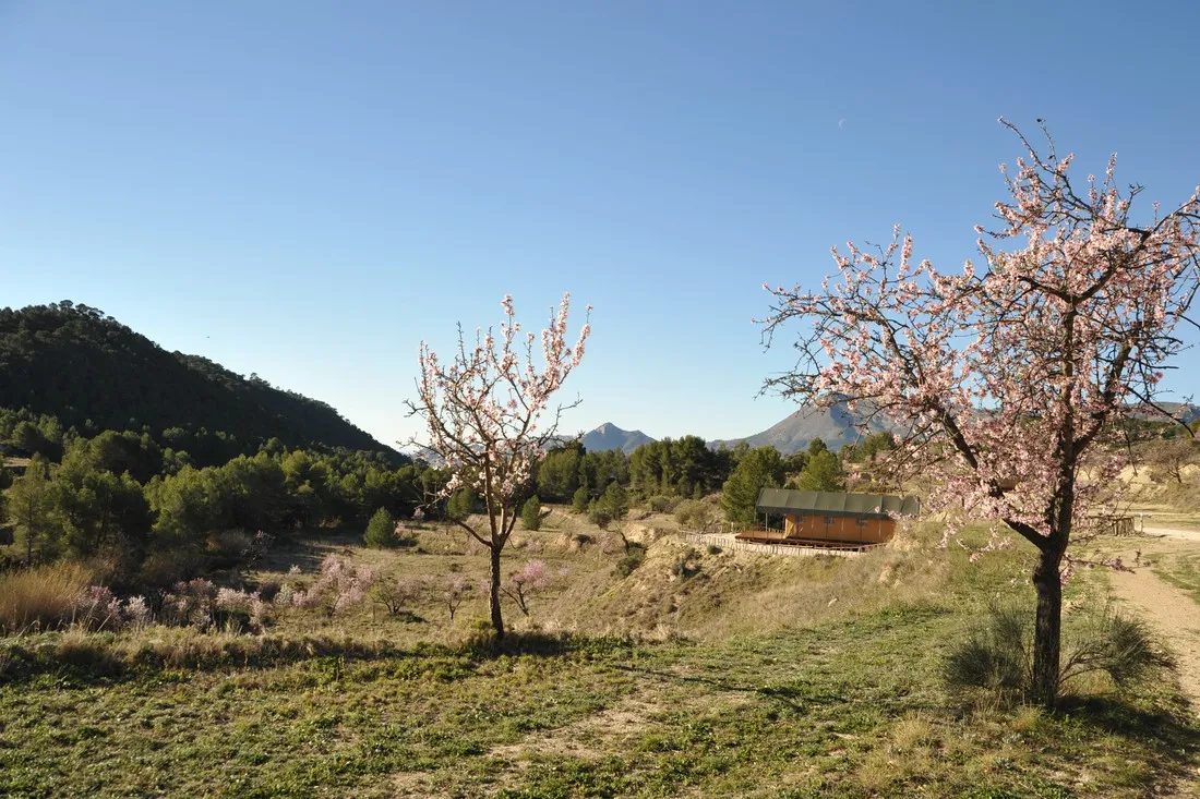 finca-les-coves-glamping-jijona-0qaws
