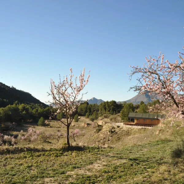 finca-les-coves-glamping-jijona-0qaws