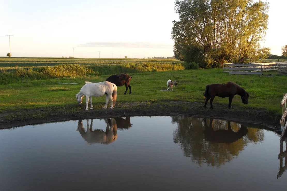 horse-lake-ranch-neuendorf-jehe5