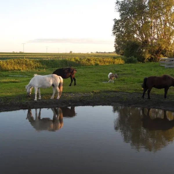 horse-lake-ranch-neuendorf-jehe5