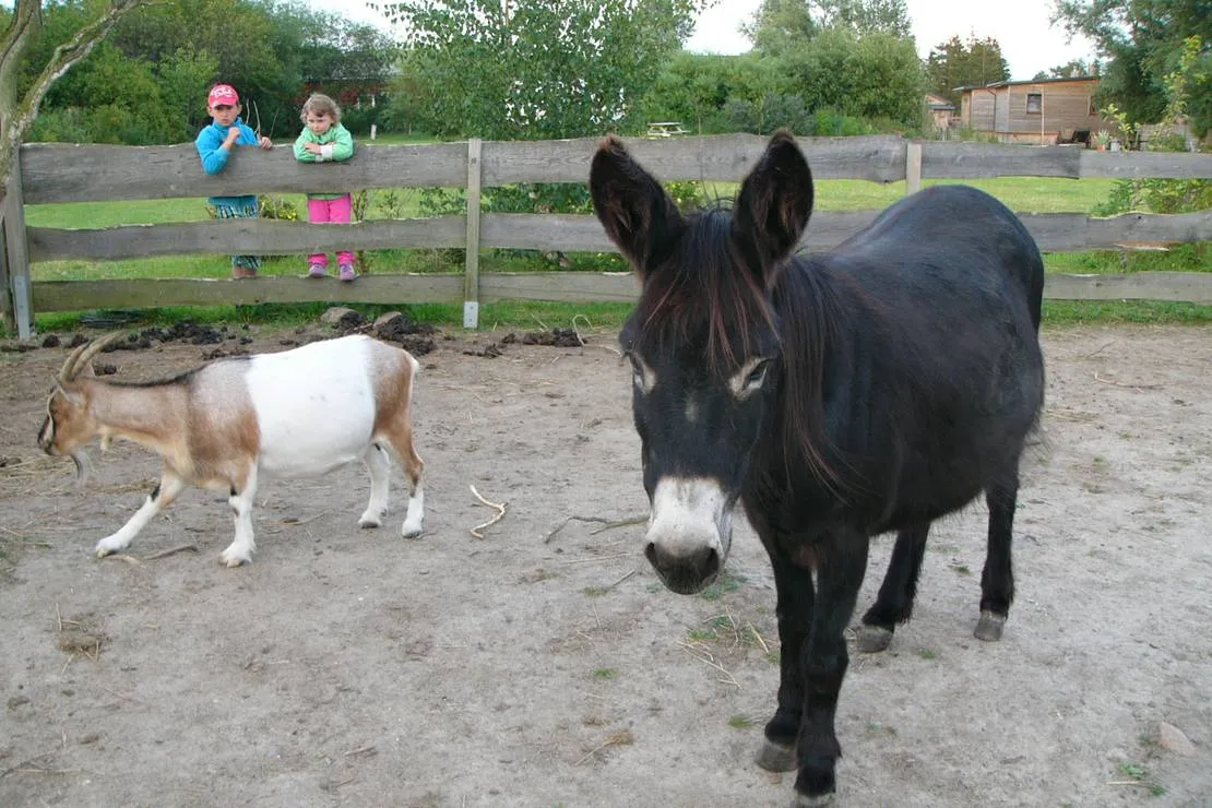 horse-lake-ranch-neuendorf-jgln4