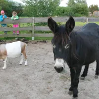horse-lake-ranch-neuendorf-jgln4
