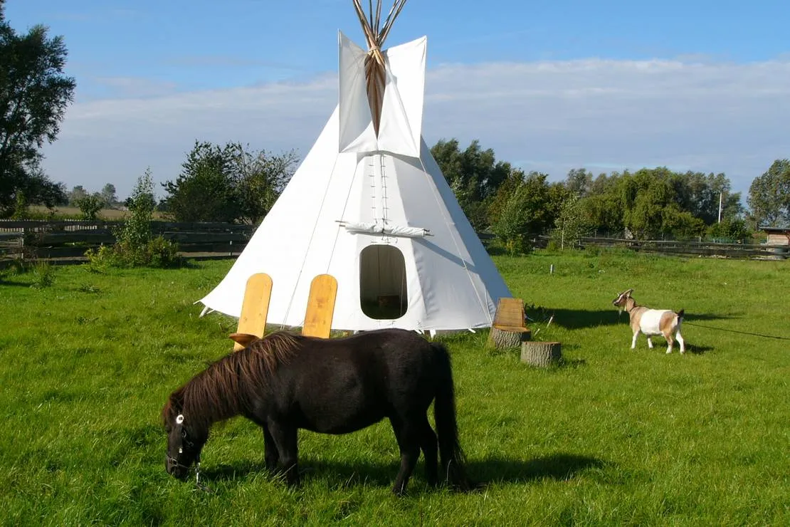 horse-lake-ranch-neuendorf-vdckk