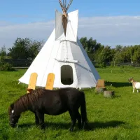 horse-lake-ranch-neuendorf-vdckk