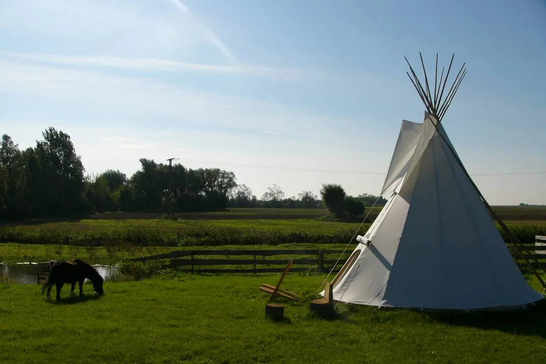 horse-lake-ranch-neuendorf-vmpc6